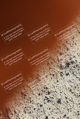 media/Jan-09-2026-Support Moto Racing (Fri) [[386df380ef]]/1-Racer Group/Practice 1 (Turn 12 Inside)/